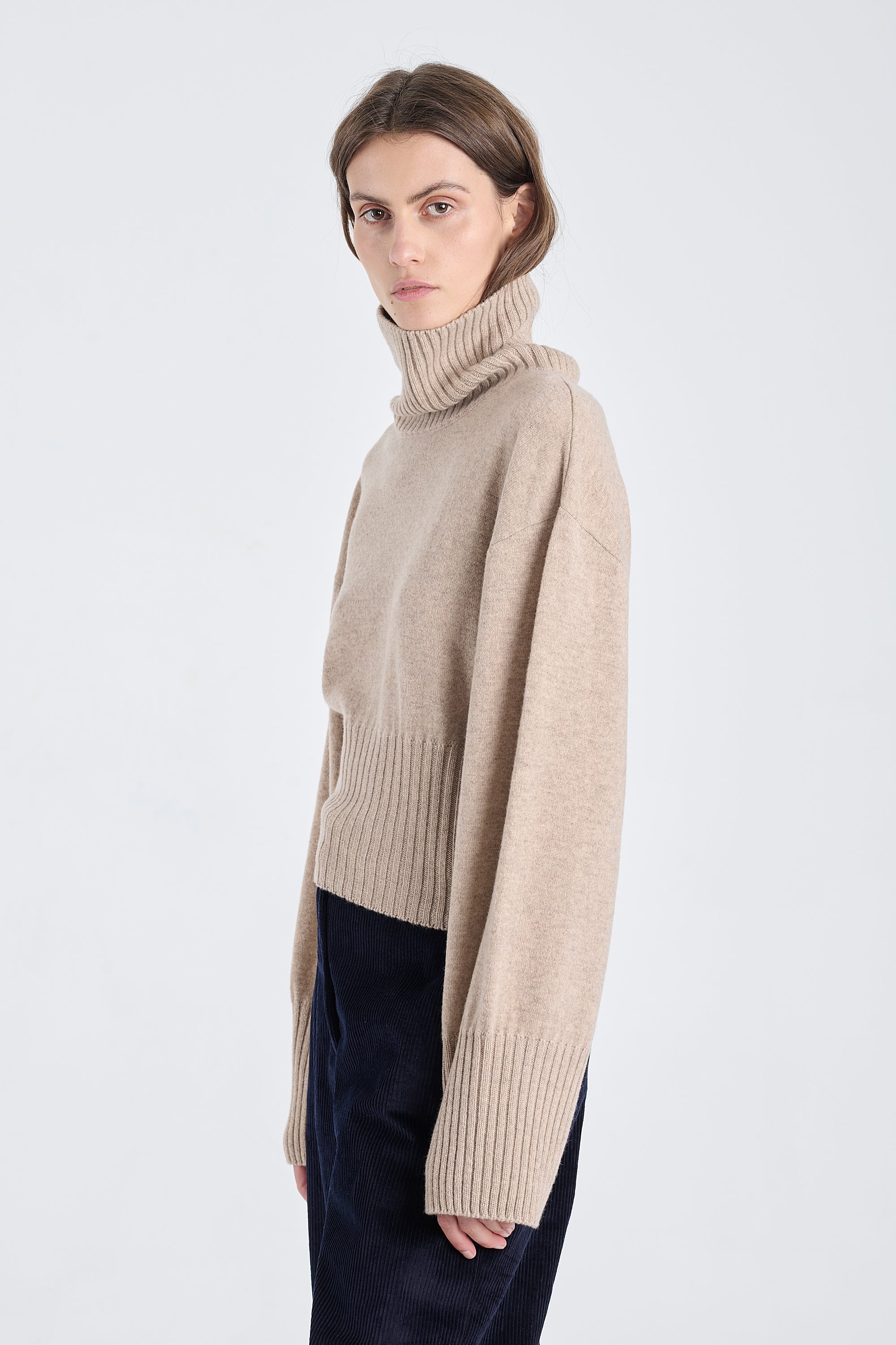 Nomad cashmere cropped turtleneck