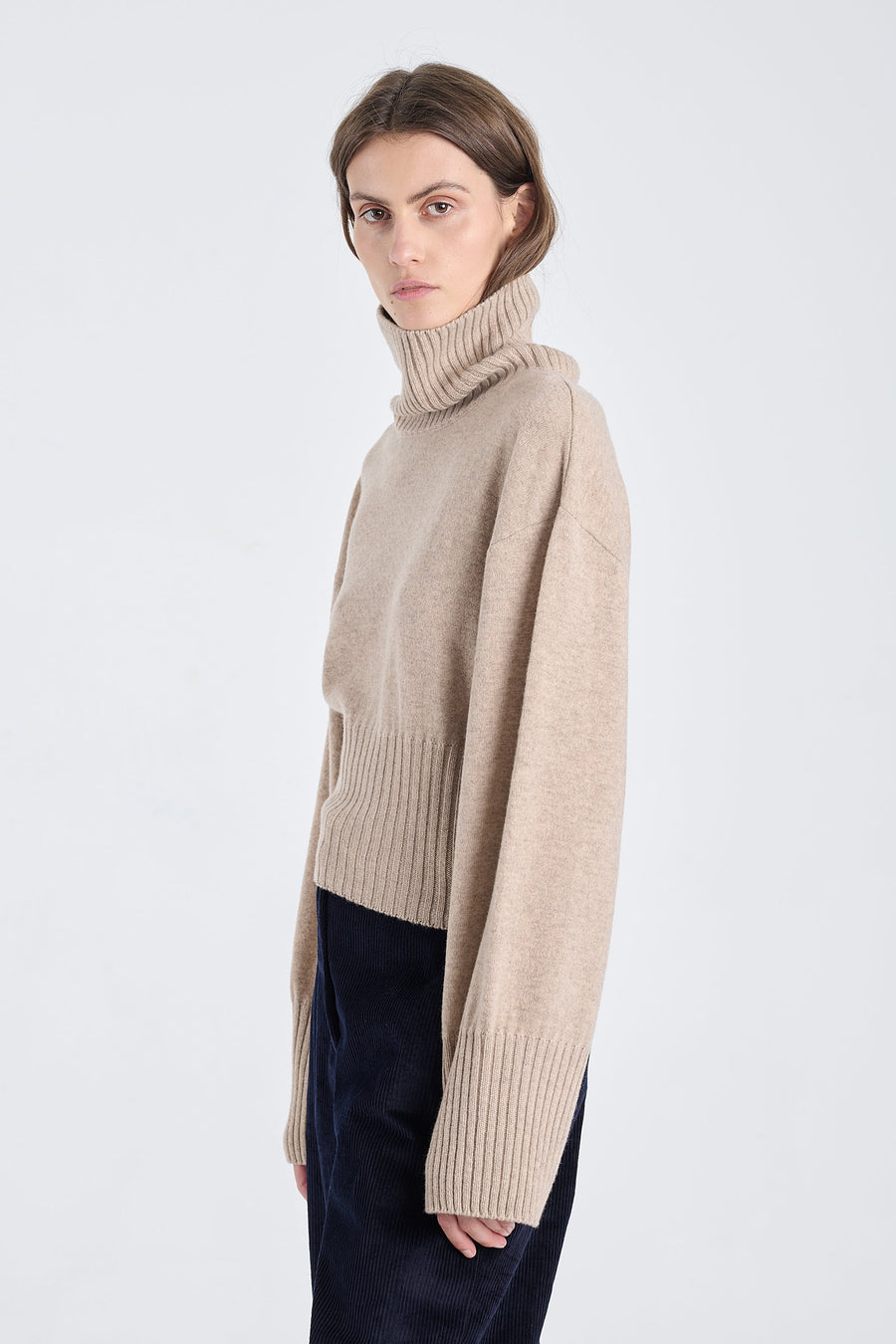 Nomad cashmere cropped turtleneck