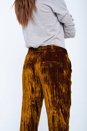 Gold velvet straight pants
